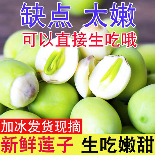 生吃特别嫩新鲜莲蓬青莲子