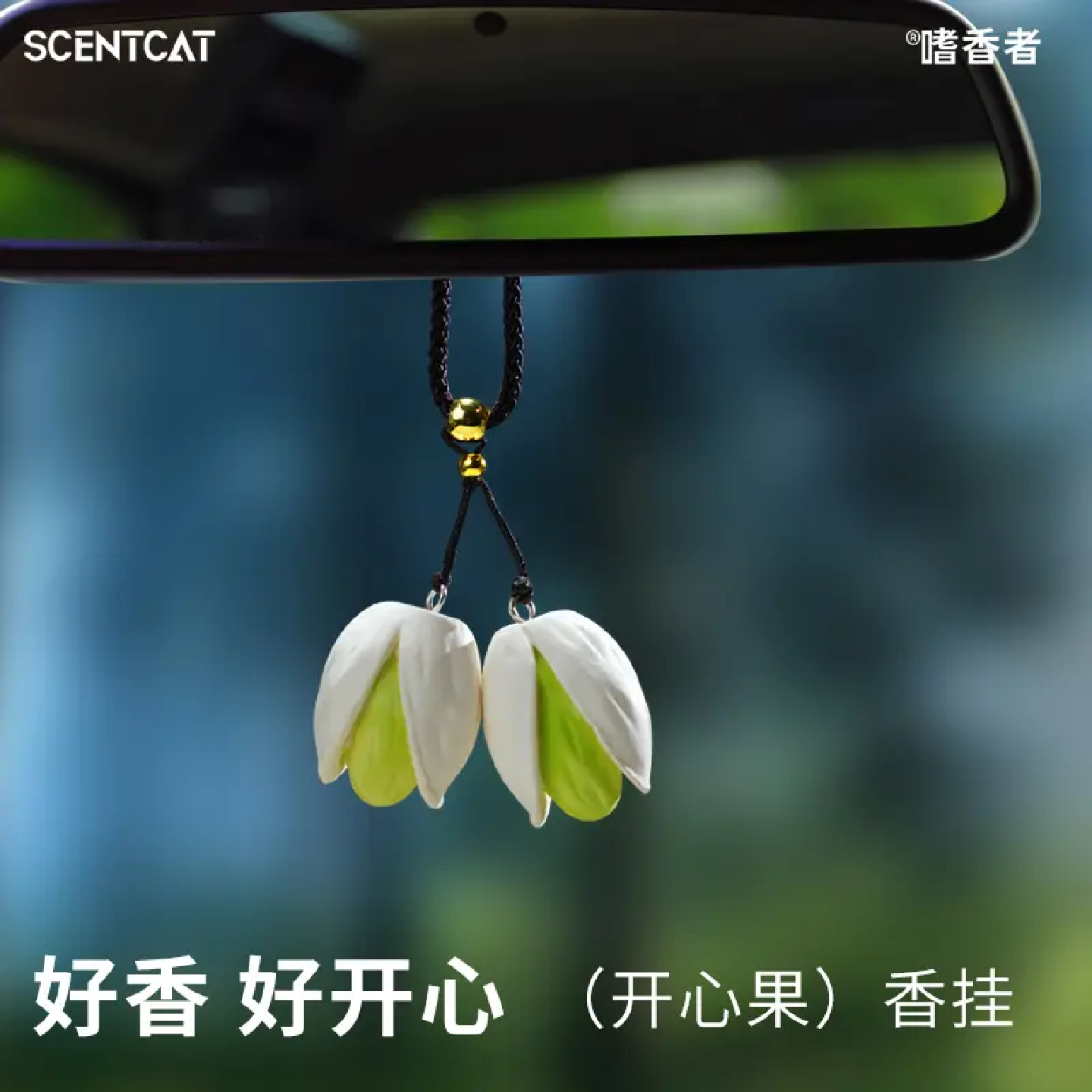 开心果车载香薰汽车挂件香片留香