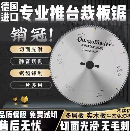 进口精密推台木工锯片12寸300/96