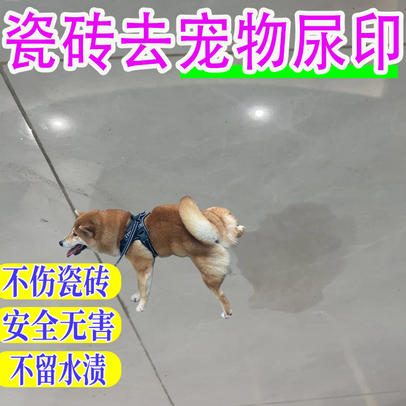 去宠物尿渍尿印地板瓷砖清洁剂