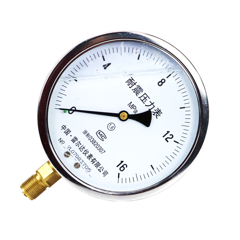 雷尔达仪表 耐震压力表充油表YN15G0防震抗震表 水压气压液压