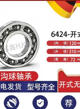 日本进口轴承 6420 6421 6422 6424 6426 ZZ 6420N