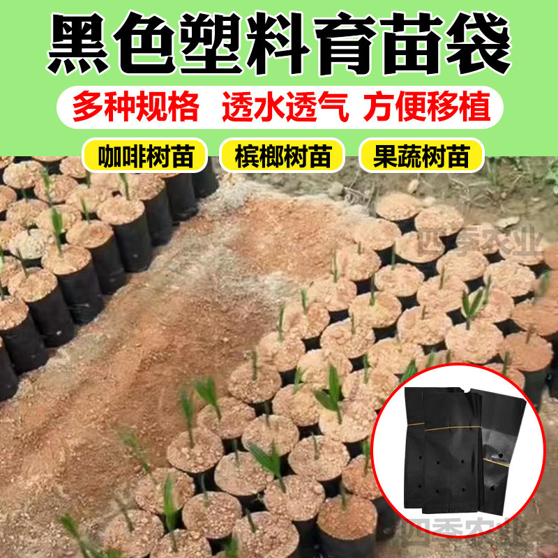 咖啡育苗袋黑色塑料槟榔育苗营养袋加厚一次性花盆黑色桉树种植袋