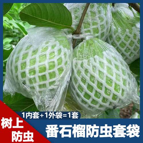 番石榴套袋网袋芭乐防虫网袋专用一体泡沫包装袋石榴袋水果网套