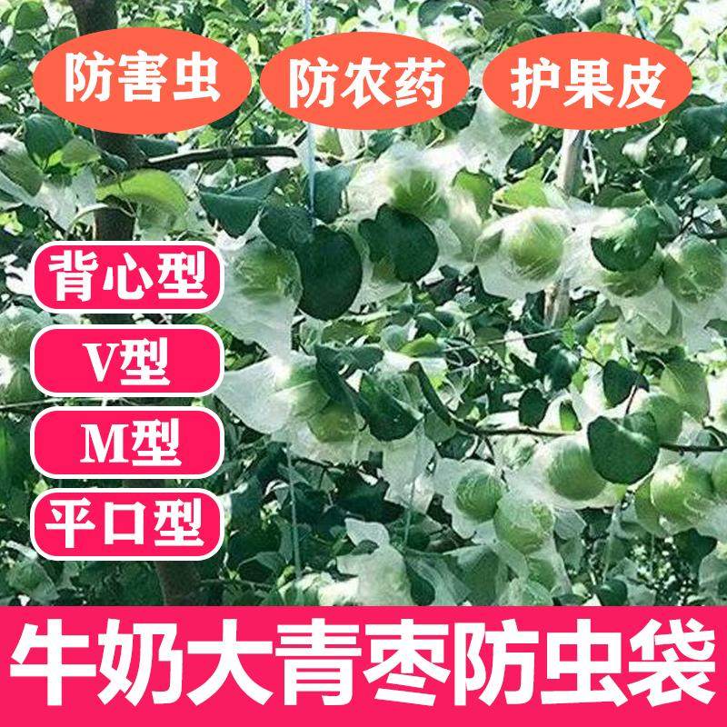 青枣套袋保护袋大青枣防虫胶袋冬枣专用袋蜜丝枣袋牛奶枣苹果枣袋