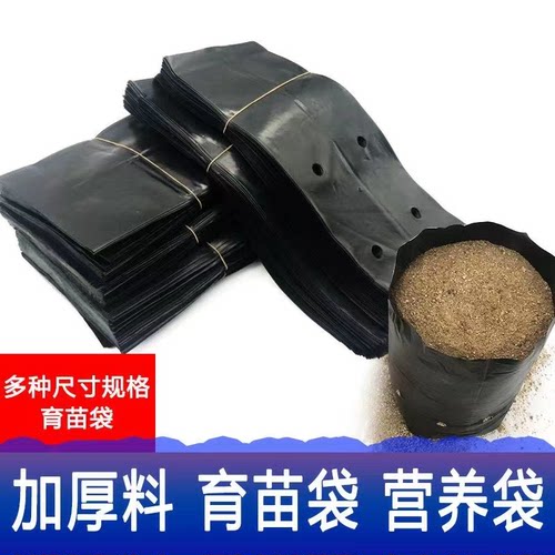 咖啡槟榔黑色塑料育苗袋营养袋