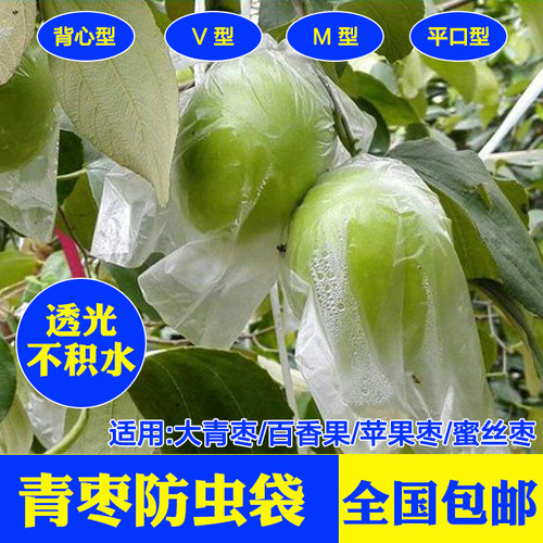 青枣套袋大青枣专用防虫苹果套袋