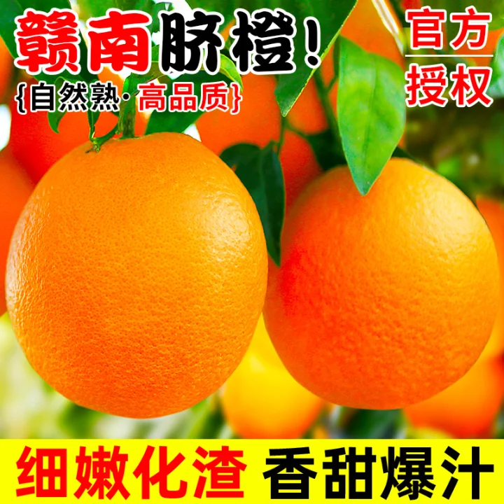 赣南脐橙新鲜橙子江西赣州信丰官方旗舰店产地直发正宗薄皮精品果