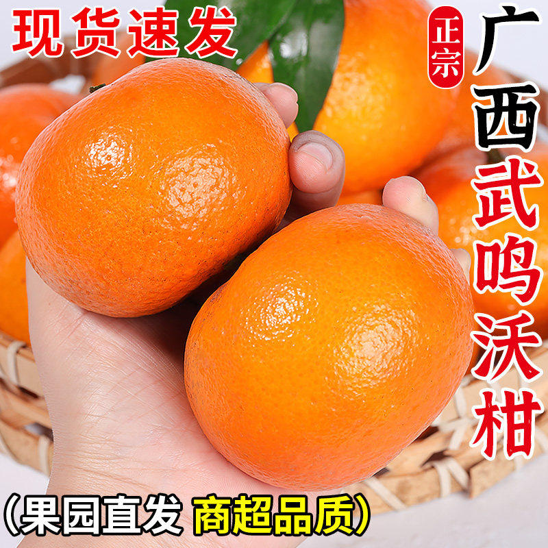 广西武鸣沃柑新鲜正宗橘子原产地直发店纯甜蜜旗舰店水果当季现摘