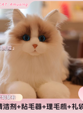 可水洗仿真猫咪玩偶布偶猫玩偶小猫咪毛绒公仔娃娃玩具女孩礼物