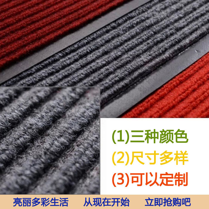 极速家用进门地垫玄关门垫进门门厅地毯吸尘防滑垫子包邮2019新款