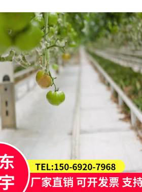 2米宽PE白色反光防草布园艺地布全新料增光补光温室大棚除草布