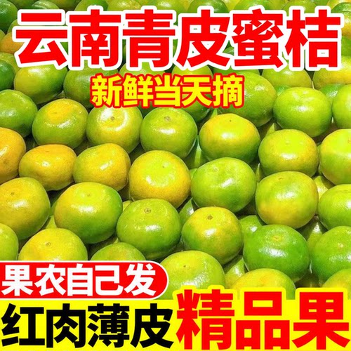 当季现摘新鲜蜜桔薄皮籽少