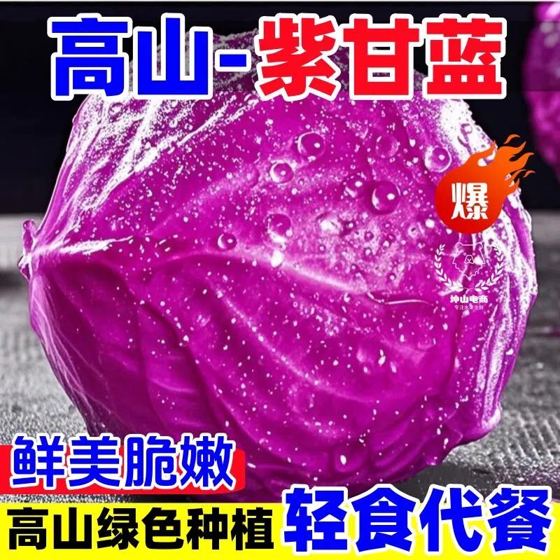 2026新鲜紫甘蓝5斤农家现摘卷心菜沙拉椰菜紫包菜批发蔬菜包邮5