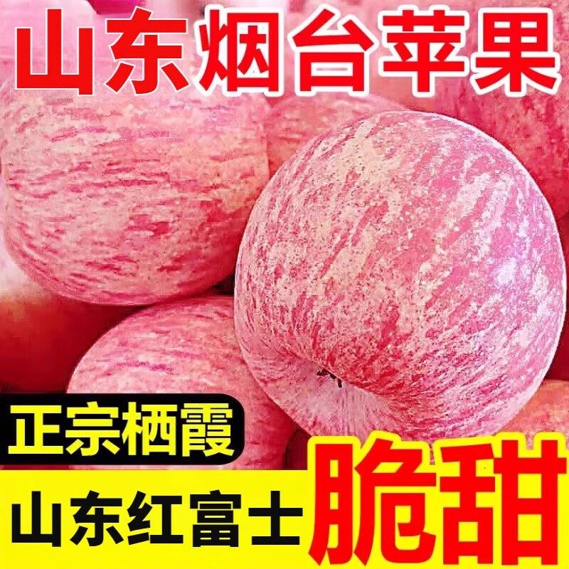 75mm���� 3�� ��̨�츻ʿƻ���ɿ�ƻ��Ӧ��ˮ��