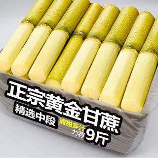 现砍鲜甜黄金甘蔗，仅此一单