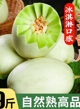 正宗海南玉菇甜瓜9斤当季时令新鲜水果冰淇淋香瓜角瓜整箱包邮46