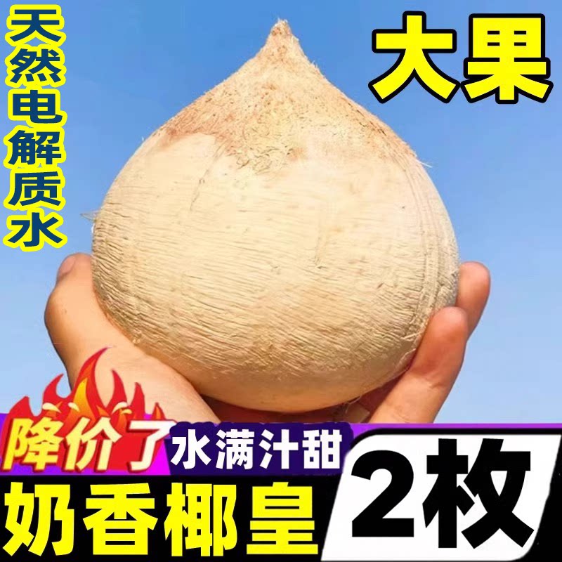 海南牛奶椰皇2个装新鲜椰青当季煲鸡汤老椰子肉椰汁孕妇整箱30
