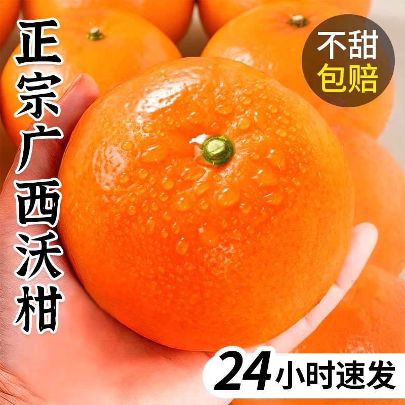正宗广西沃柑纯甜精品新鲜水果应季武鸣柑橘