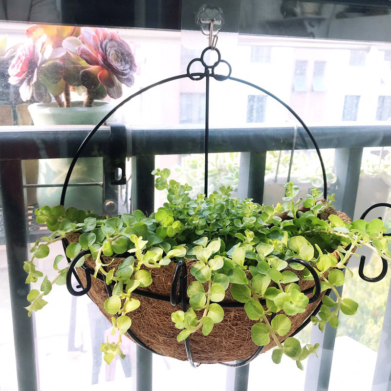 极速美式乡村简约编织吊篮半壁挂花盆创意悬挂吊兰盆幼儿园装饰绿