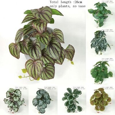 极速Artificial Plants Vine Wall Hanging Flower Rattan Peacoc