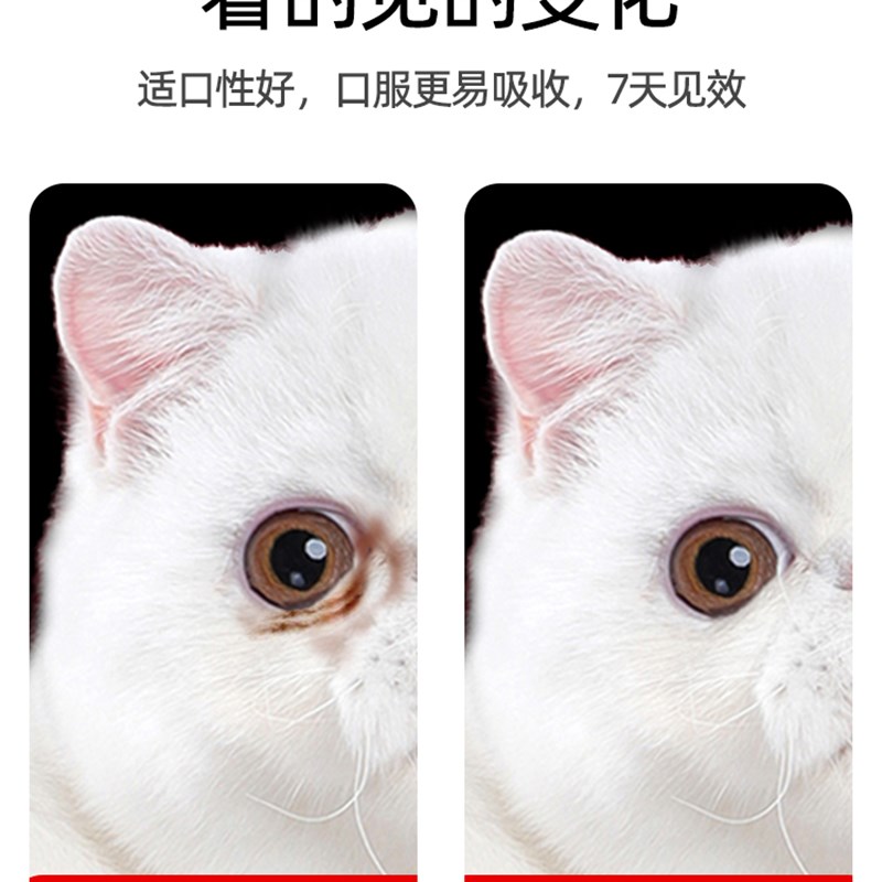 222t2去泪痕神器猫咪狗狗去除泪C痕液宠物泪腺比熊加菲幼C猫清洁a