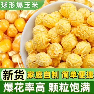 爆米花专用球形玉米粒5斤电影院家用自做爆裂小玉米粒原料干苞米