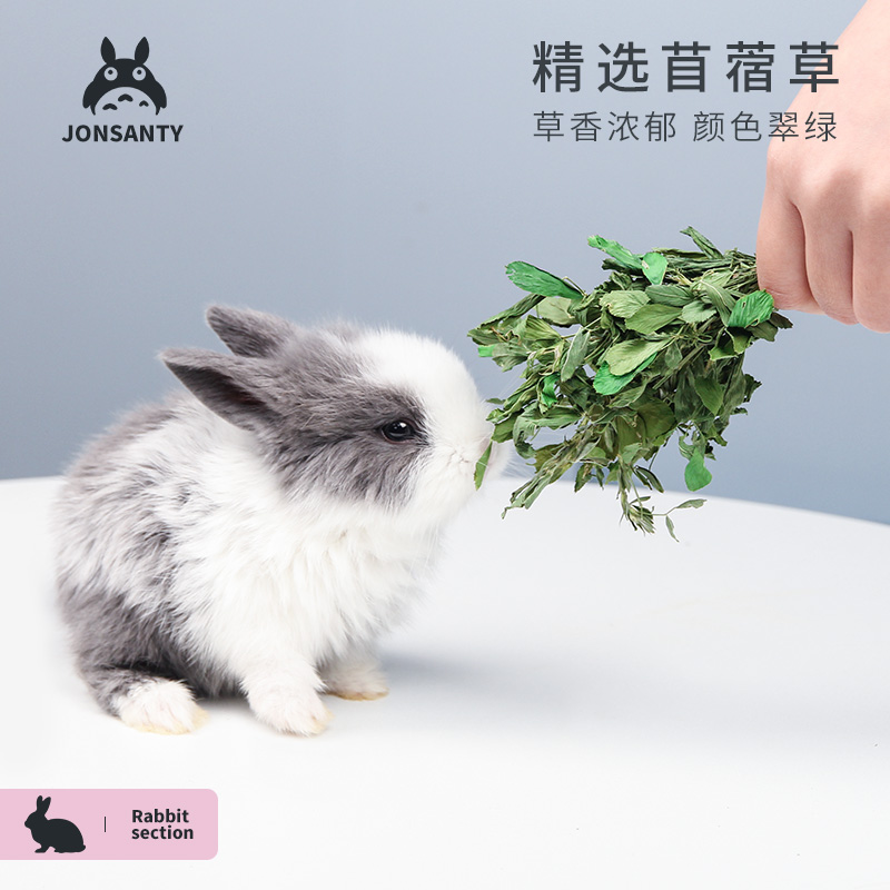 新品新2023烘干苜蓿草精选牧草兔子干草龙猫荷兰猪食用草幼兔粮草