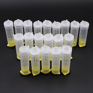 极速20 Pcs Beekeeping Protective Queen Cell Cup Queen Bee