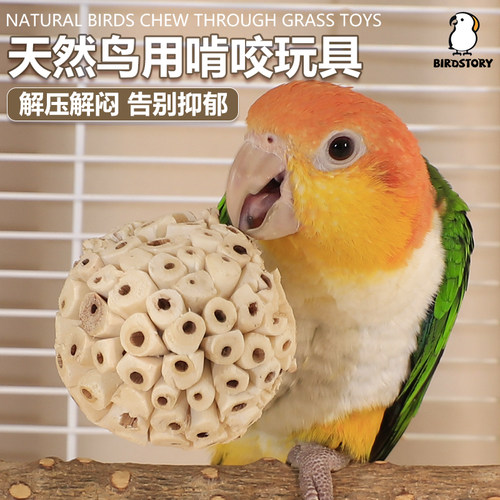 birdstory鸟玩具纯天然解压解闷