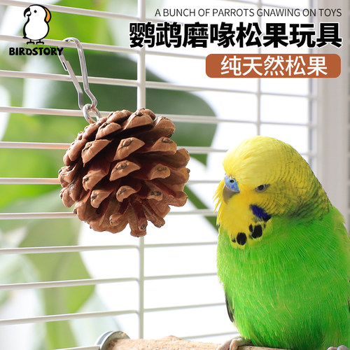 鹦鹉天然松果球啃咬小鸟解压玩具