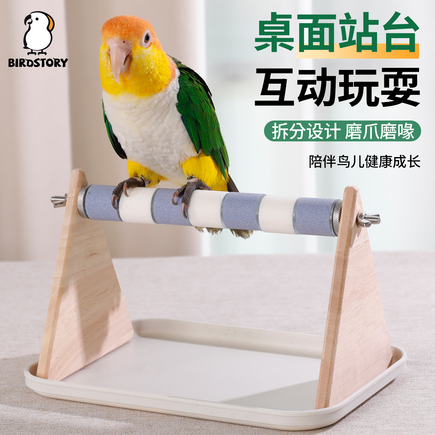 鹦鹉站杆桌面训练定点排便中小型