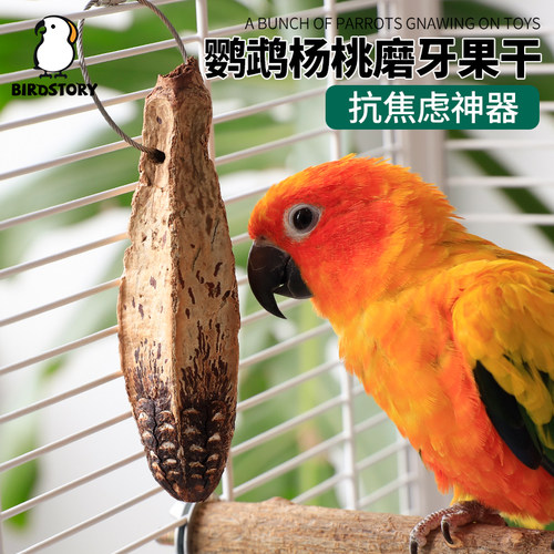 天然杨桃果干啃咬玩具磨牙可食用