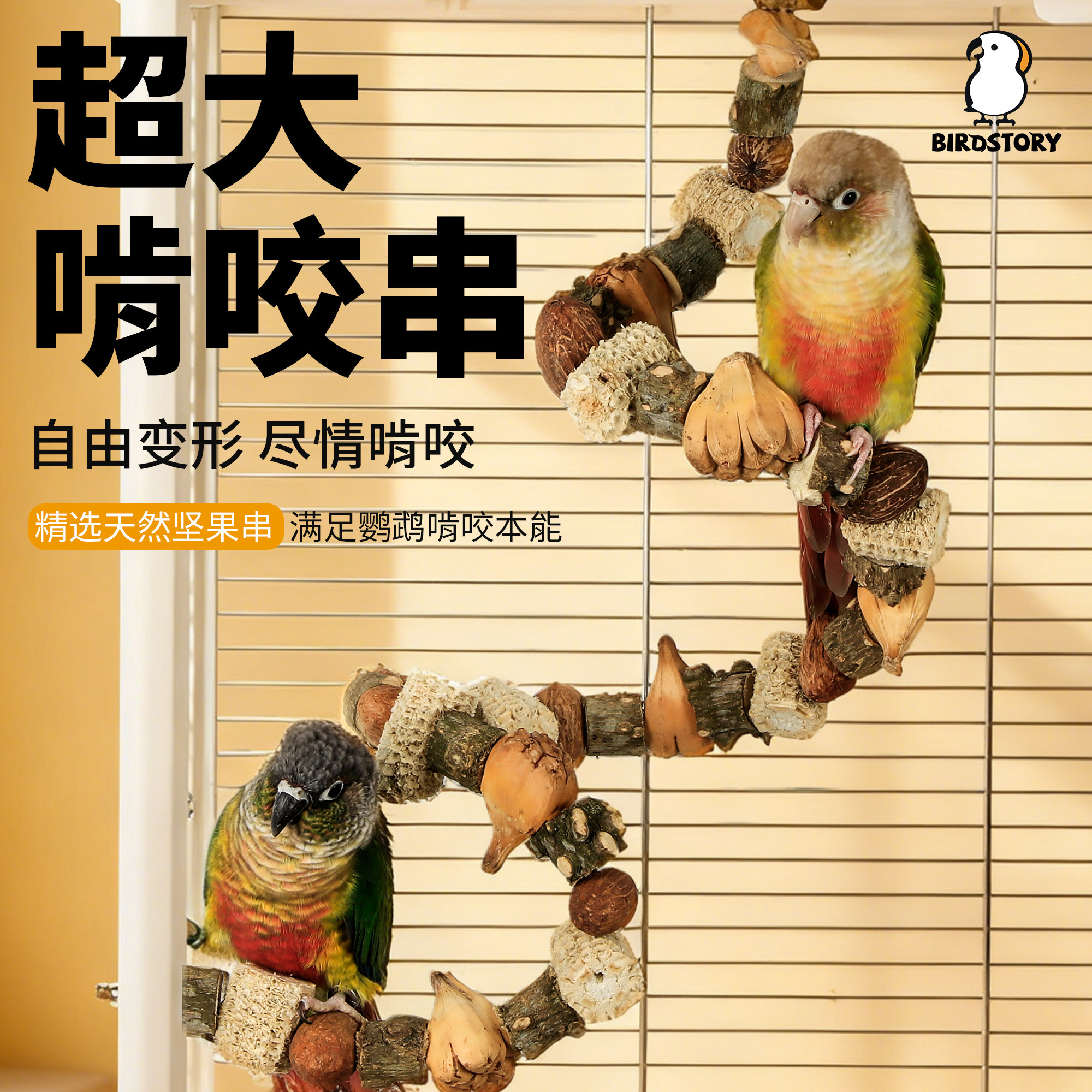 鸟故事鹦鹉坚果攀爬梯啃咬磨嘴牙