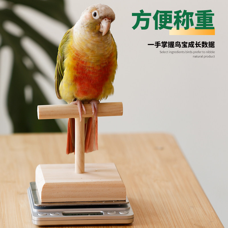 鹦鹉T型站杆体重秤小鸟训练互动