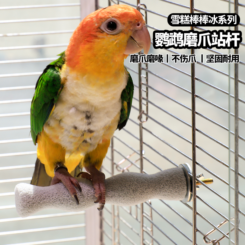 birdstory磨爪站台安装方便磨爪