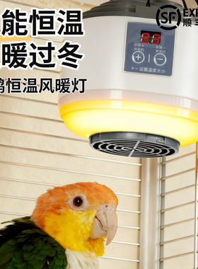 鹦鹉过冬神器保温灯宠物自动温控加热器鸟笼用品智能恒温风暖防烫