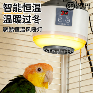 鹦鹉过冬神器保温灯宠物自动温控加热器鸟笼用品智能恒温风暖防烫
