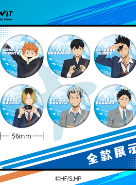 I.G WIT  排球少年天际线系列马口铁徽章动漫周边谷子正版授权