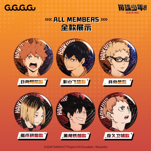 排球少年双闪徽章整盒全6款