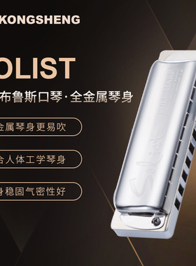 孔声SOLIST  10孔金属琴格布鲁斯口琴金属初学成人高级口琴易超吹