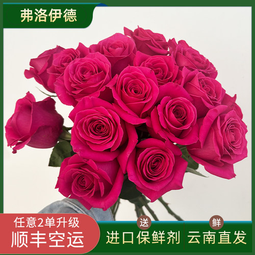 正玫红色送朋友生日家用插花鲜花
