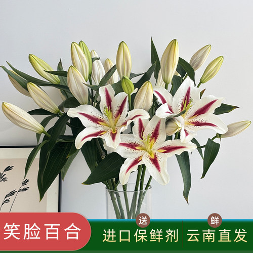 笑脸香水百合花鲜花家用插花顺丰