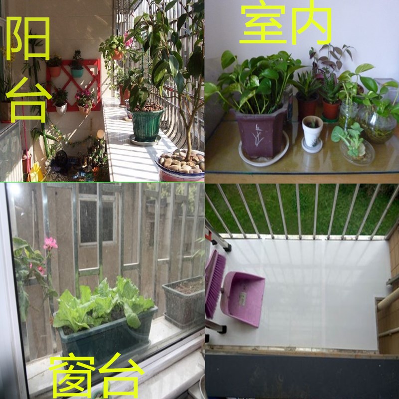 防盗网窗台盆景垫板PP硬胶板桌面板材G塑料盖板阳台防护栏胶板新