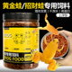 网红黄金蛙粮招财蛙金蟾专用饲料林蛙角蛙食物小蛙成蛙高蛋白粮