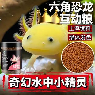 六角恐龙鱼食蝾螈美鳃增艳高蛋白上浮型不浑水龙鱼锦鲤淡水鱼通用