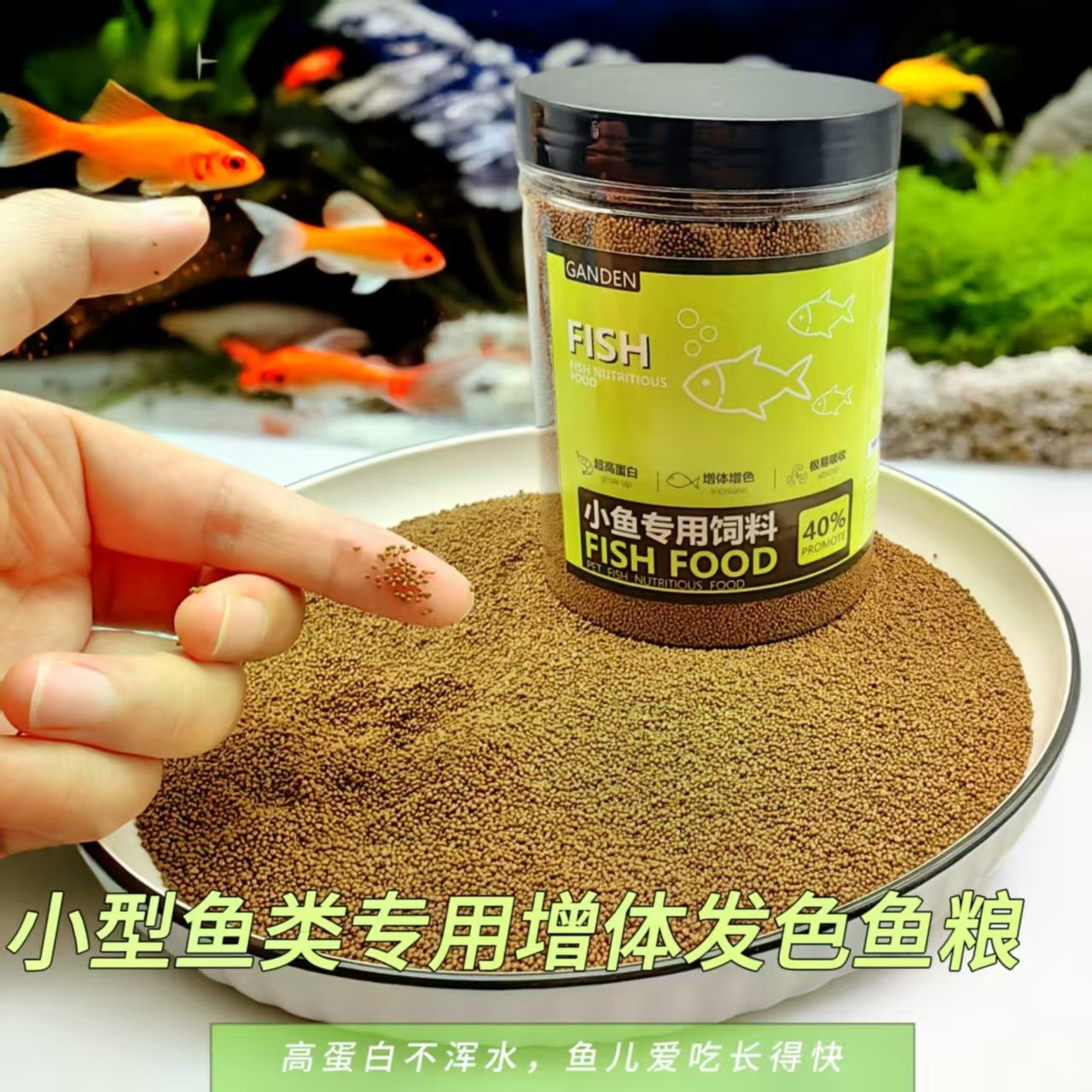 加顿小型鱼饲料微粒高蛋白不浑水