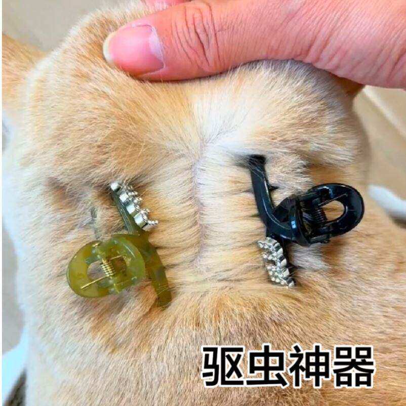 猫咪驱虫夹子外驱辅助道具神器抓夹宠物小狗狗抓夹猫毛发专用发夹