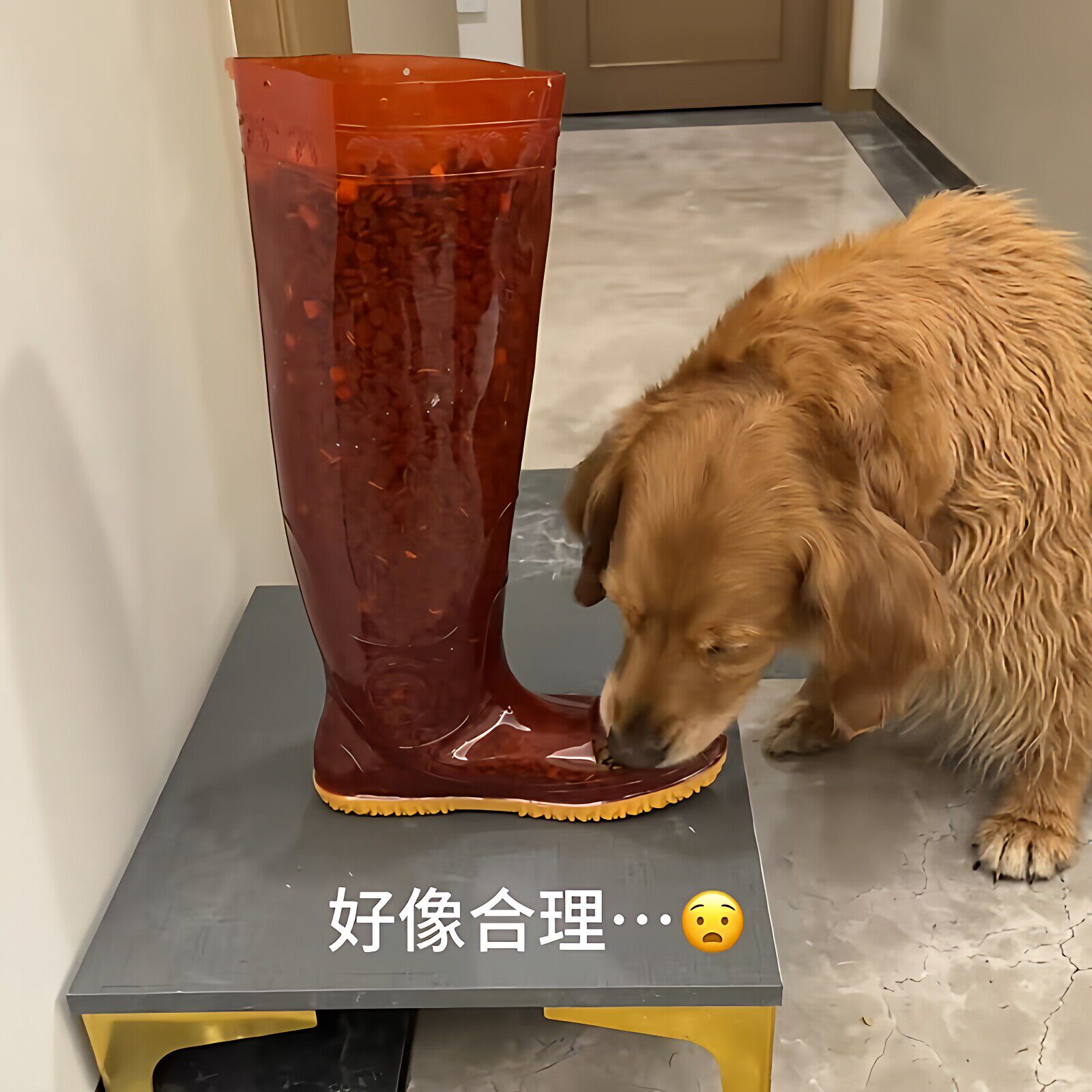 狗狗餐碗diy手工异形碗防打翻超大容量猫狗零食架搞笑抽象宠物碗