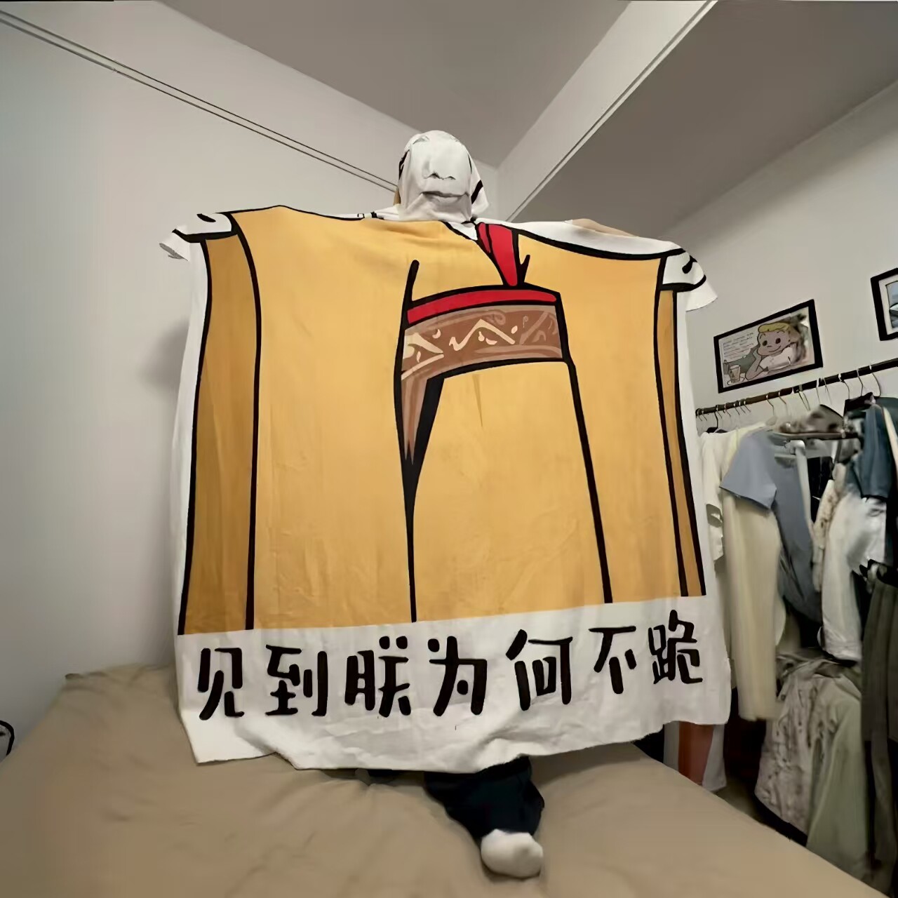 见到朕为何不跪毛毯创意整蛊工位午睡盖毯家用法兰绒沙发毯子搞笑